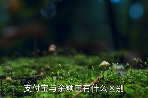 支付寶錢包跟余額寶有什么區別，支付寶錢包賬戶余額跟余額寶有什么不同
