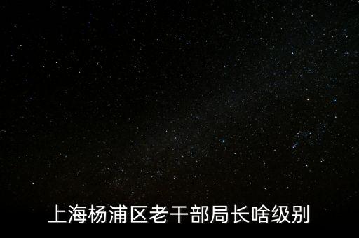 上海楊浦區老干部局長啥級別
