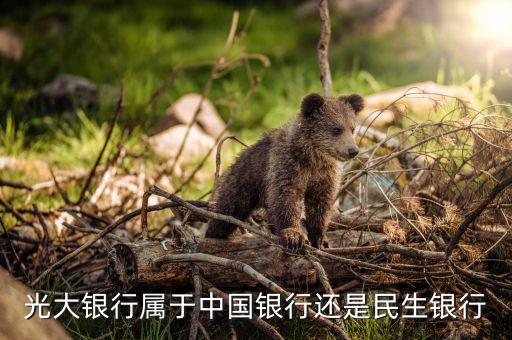 海寧光大銀行屬什么性質，浙江海寧有光大銀行 嗎