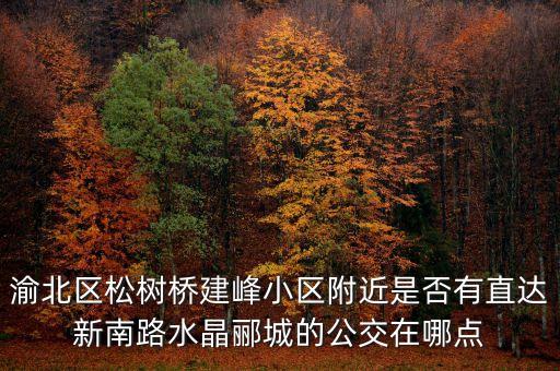 渝北區松樹橋建峰小區附近是否有直達新南路水晶酈城的公交在哪點