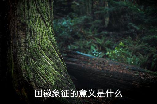 國琪意義是什么，國徽象征的意義是什么