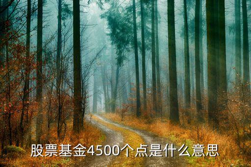 股票4500點(diǎn)是什么意思，4500點(diǎn)以下不減持是什么意思