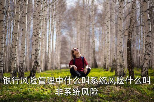 不發生系統性什么意思，銀行風險管理中什么叫系統風險什么叫非系統風險