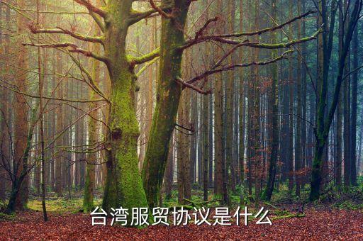 臺灣服務(wù)貿(mào)易協(xié)定是什么，臺灣服貿(mào)協(xié)議是什么