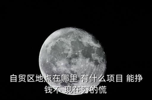 自貿區可以做什么，自貿區地點在哪里 有什么項目 能掙錢不 現在窮的慌