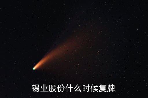 錫業股份什么時候復牌