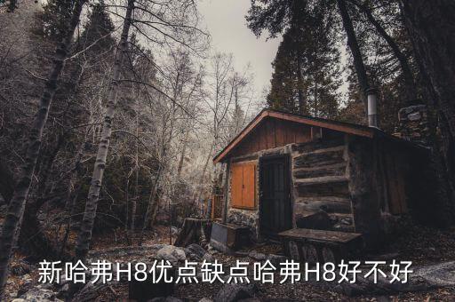 新哈弗H8優點缺點哈弗H8好不好