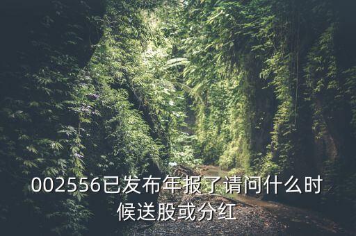 深圳能源什么時候送股，深圳能源什么時候送股
