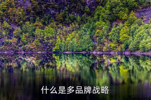 什么是多品牌戰略