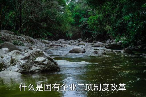 新鋼公司三項制度改革是什么，什么是國有企業三項制度改革