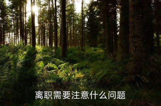 華北制藥辭職需要注意什么，辭職應該注意些什么呢