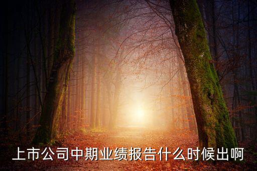 中報業績最晚什么時間公布，規定股票中報什么時候出