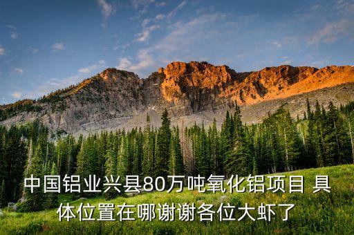 中鋁蔡安輝什么級別，中國鋁業興縣80萬噸氧化鋁項目 具體位置在哪謝謝各位大蝦了
