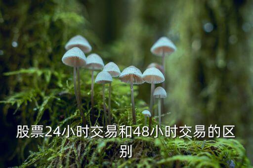 24小時交易是什么意思，股票24小時交易和48小時交易的區別