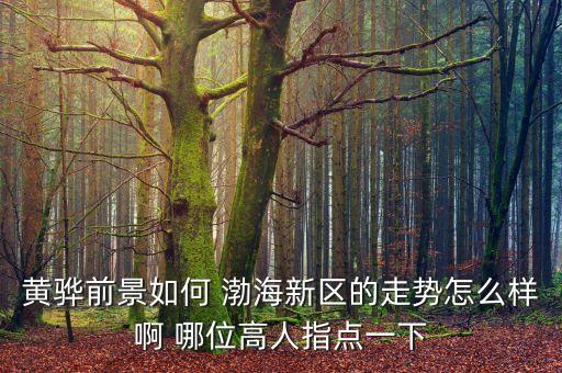 黃驊前景如何 渤海新區的走勢怎么樣啊 哪位高人指點一下