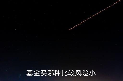 基金買哪種比較風險小