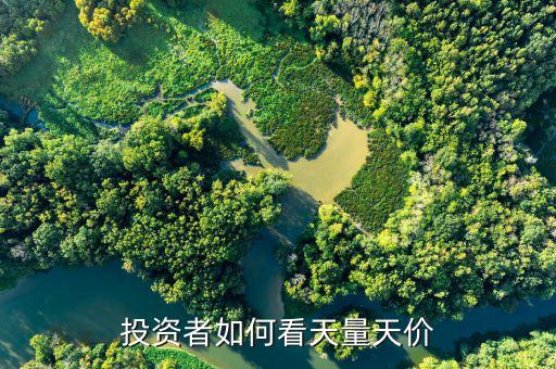 天量天價(jià)什么意思，天量之后見天價(jià)為什么