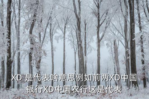農行中證代表什么，XD 是代表啥意思例如前兩XD中國銀行XD中國農行這是代表