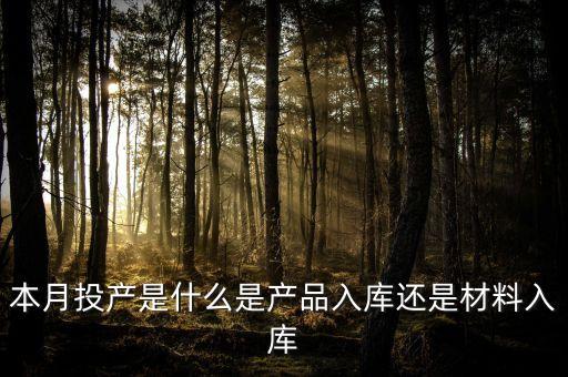 本月投產是什么是產品入庫還是材料入庫