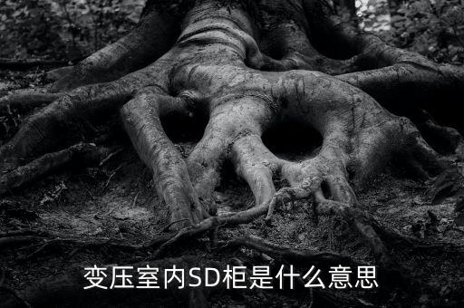 授軍旗為什么在室內，變壓室內SD柜是什么意思