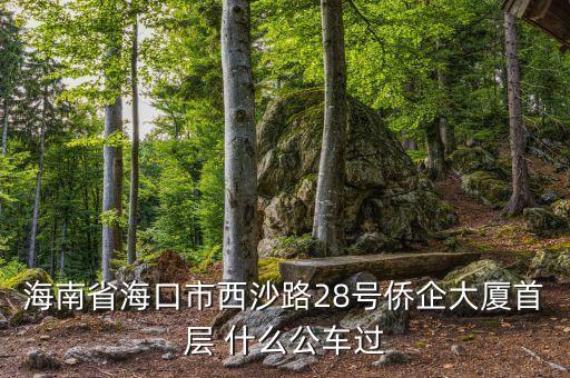 海南公務車什么號段，誰知道海南41 11月20日開的什么號碼