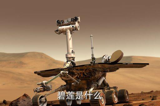 碧蓮經濟產業是什么，武漢的主要產業是什么 武漢的經濟消費水平是什么樣的 詳細點 分析一