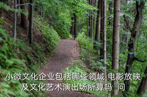 小微文化企業(yè)具體指什么，小微文化企業(yè)包括哪些領域 電影放映及文化藝術演出場所算嗎  問