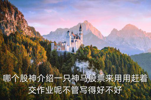 神馬股票是什么，哪個股神介紹一只神馬股票來用用趕著交作業呢不管寫得好不好