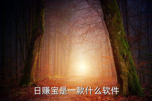 日溢寶是什么，誰用過大王卡那個日租寶是什么意思如果有月流量套餐日租寶還