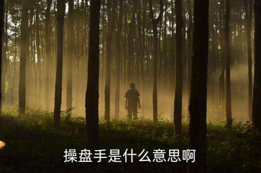 股票里操盤手聯(lián)盟是什么意思，有哪位高人可以給我詳細解釋下操盤手是什么意思