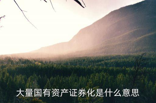 什么是國資證券化率，資產證券化率的公式