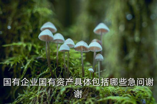 國有企業國有資產具體包括哪些急問謝謝