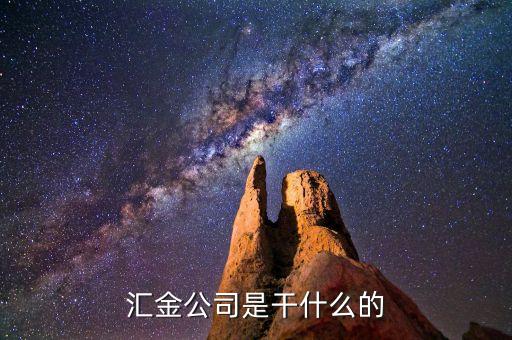 深圳惠程為什么匯金進駐，匯金公司是怎么回事