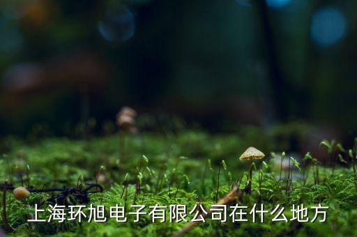 上海環旭電子有限公司在什么地方