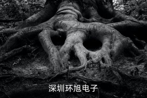 環旭電子經營什么，上海環旭電子有限公司在什么地方