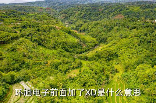 環旭電子前面加了XD是什么意思