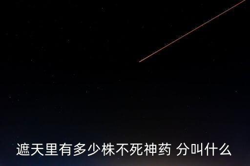 神藥代表什么，圣經黃金沫藥什么含義