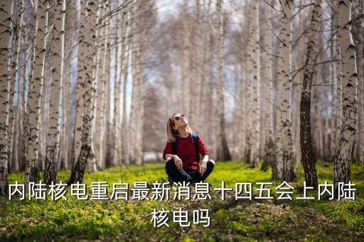 內陸核電重啟最新消息十四五會上內陸核電嗎