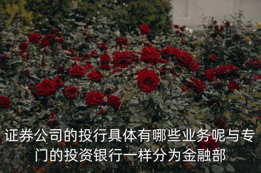 國內券商投行部在做什么，國有四大行的投行部在做什么