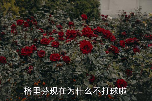 格里芬現在為什么不打球啦