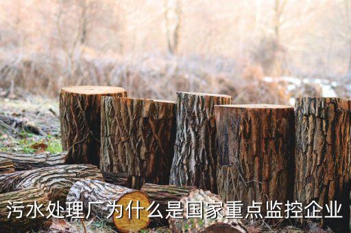 重點監控企業為什么，稅務局來電要我們公處理重點監控是什么意思