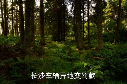 銀聯便民支付點是什么，我想辦個銀聯便民支付點怎么辦理