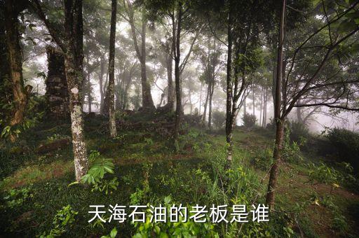 天海收購英邁什么時間，信用卡能不能申請延遲2天海款