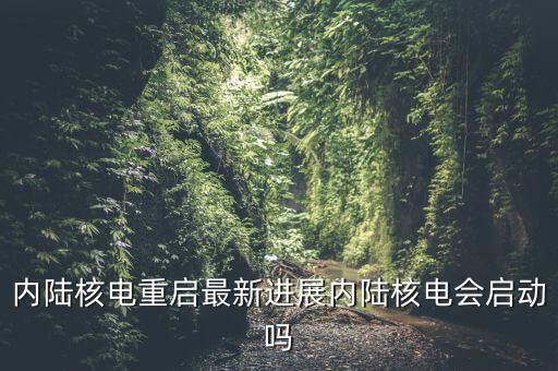 內陸核電重啟最新進展內陸核電會啟動嗎
