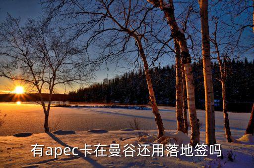 apec為什么有俄羅斯，亞太經合組織怎么樣為什么中國1991年才加入怕俄羅斯聯邦嗎