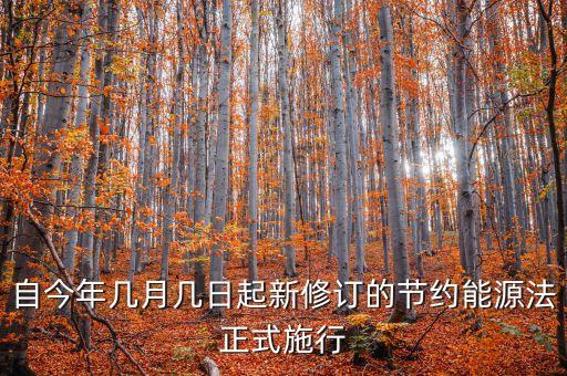 自今年幾月幾日起新修訂的節約能源法正式施行