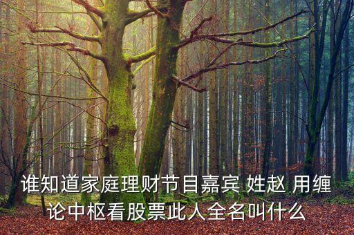誰知道家庭理財節目嘉賓 姓趙 用纏論中樞看股票此人全名叫什么