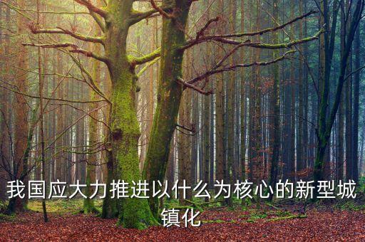 我國應大力推進以什么為核心的新型城鎮化