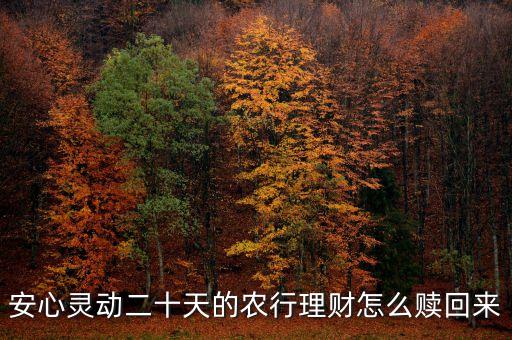 安心靈動20天什么時候可以贖回，安心靈動二十天的農行理財怎么贖回來
