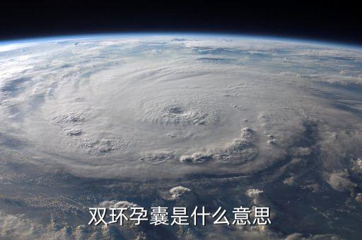 雙環控制是什么，b超里面的雙環征明顯是雙環征是什么意思